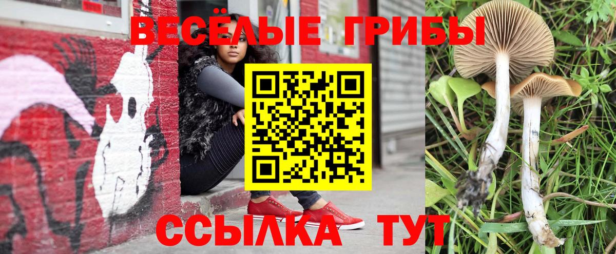 Псилоцибиновые грибы мицелий Балашов